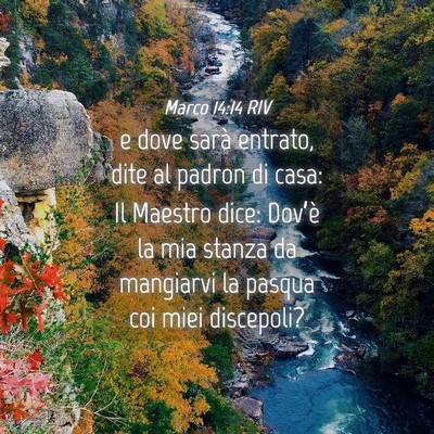Picture 04 - Marco 14:14 RIV - e dove sarà entrato, dite al padron di casa: Il - Bible Verse Picture
