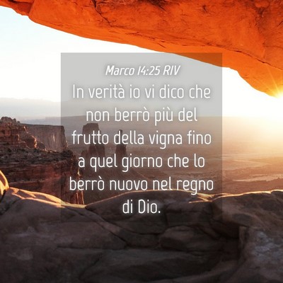 Picture 04 - Marco 14:25 RIV - In verità io vi dico che non berrò più del - Bible Verse Picture