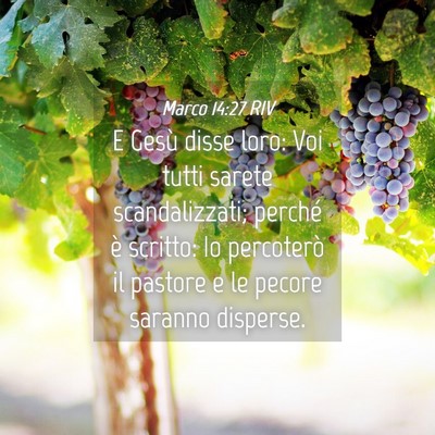 Picture 04 - Marco 14:27 RIV - E Gesù disse loro: Voi tutti sarete - Bible Verse Picture