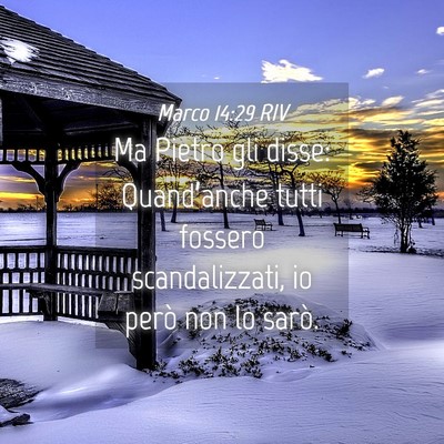 Picture 04 - Marco 14:29 RIV - Ma Pietro gli disse: Quand’anche tutti fossero - Bible Verse Picture