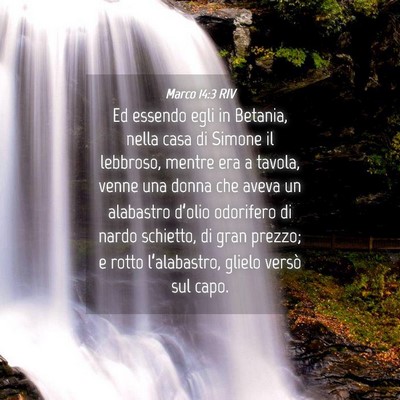Picture 04 - Marco 14:3 RIV - Ed essendo egli in Betania, nella casa di Simone - Bible Verse Picture