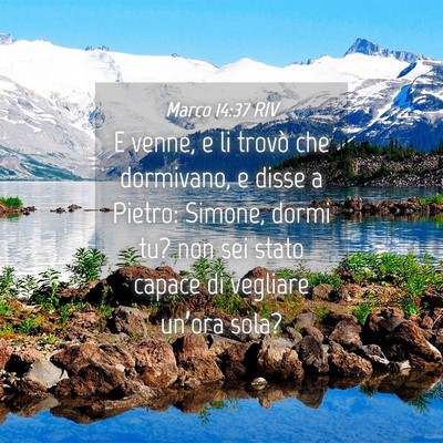 Picture 04 - Marco 14:37 RIV - E venne, e li trovò che dormivano, e disse a - Bible Verse Picture