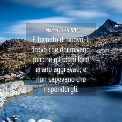 Picture 04 - Marco 14:40 RIV - E tornato di nuovo, li trovò che dormivano - Bible Verse Picture
