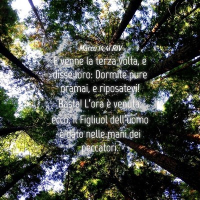Picture 04 - Marco 14:41 RIV - E venne la terza volta, e disse loro: Dormite - Bible Verse Picture