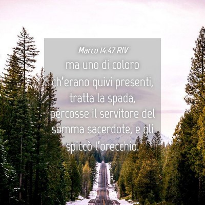 Picture 04 - Marco 14:47 RIV - ma uno di coloro ch’erano quivi presenti, - Bible Verse Picture