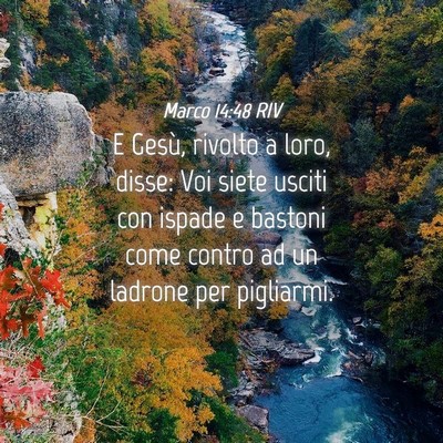 Picture 04 - Marco 14:48 RIV - E Gesù, rivolto a loro, disse: Voi siete usciti - Bible Verse Picture