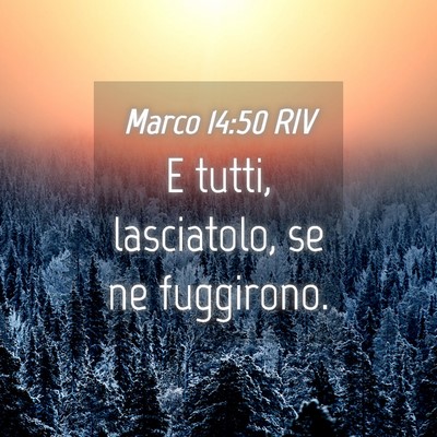 Picture 04 - Marco 14:50 RIV - E tutti, lasciatolo, se ne - Bible Verse Picture