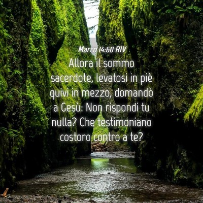 Picture 04 - Marco 14:60 RIV - Allora il sommo sacerdote, levatosi in piè quivi - Bible Verse Picture