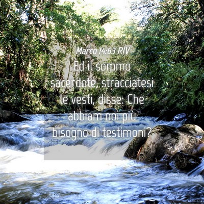 Picture 04 - Marco 14:63 RIV - Ed il sommo sacerdote, stracciatesi le vesti, - Bible Verse Picture