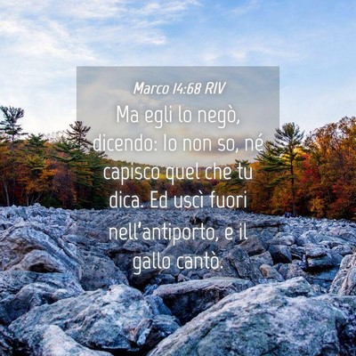 Picture 04 - Marco 14:68 RIV - Ma egli lo negò, dicendo: Io non so, né capisco - Bible Verse Picture