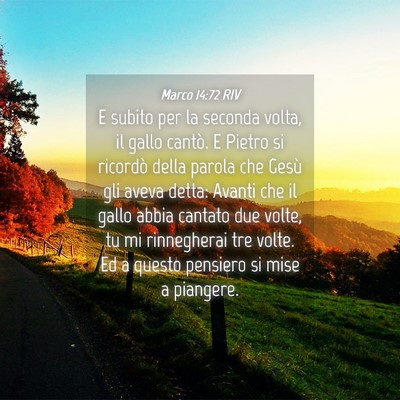 Picture 04 - Marco 14:72 RIV - E subito per la seconda volta, il gallo cantò. E - Bible Verse Picture
