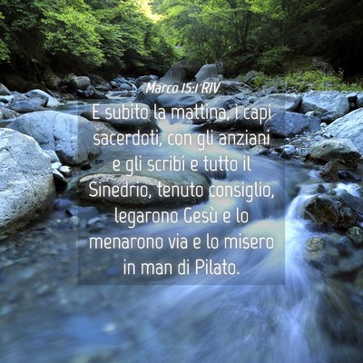 Picture 04 - Marco 15:1 RIV - E subito la mattina, i capi sacerdoti, con gli - Bible Verse Picture