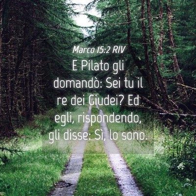 Picture 04 - Marco 15:2 RIV - E Pilato gli domandò: Sei tu il re dei Giudei? - Bible Verse Picture
