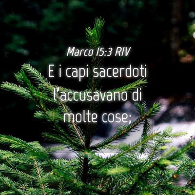 Picture 04 - Marco 15:3 RIV - E i capi sacerdoti l’accusavano di molte - Bible Verse Picture