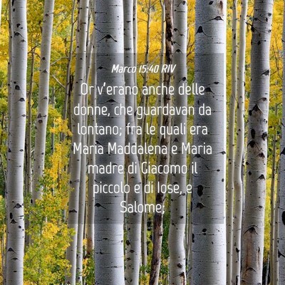 Picture 04 - Marco 15:40 RIV - Or v’erano anche delle donne, che guardavan da - Bible Verse Picture