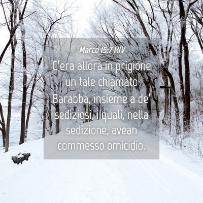 Picture 04 - Marco 15:7 RIV - C’era allora in prigione un tale chiamato - Bible Verse Picture