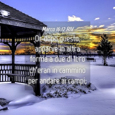 Picture 04 - Marco 16:12 RIV - Or dopo questo, apparve in altra forma a due di - Bible Verse Picture