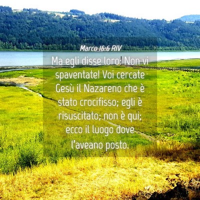 Picture 04 - Marco 16:6 RIV - Ma egli disse loro: Non vi spaventate! Voi - Bible Verse Picture