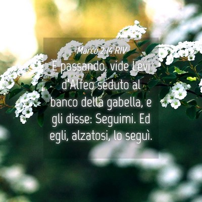Picture 04 - Marco 2:14 RIV - E passando, vide Levi d’Alfeo seduto al banco - Bible Verse Picture