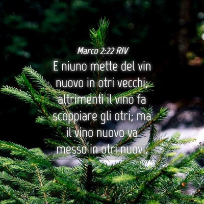 Picture 04 - Marco 2:22 RIV - E niuno mette del vin nuovo in otri vecchi; - Bible Verse Picture