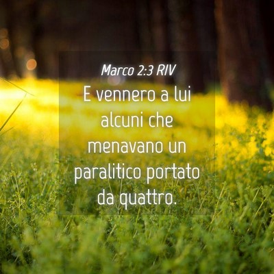 Picture 04 - Marco 2:3 RIV - E vennero a lui alcuni che menavano un paralitico - Bible Verse Picture