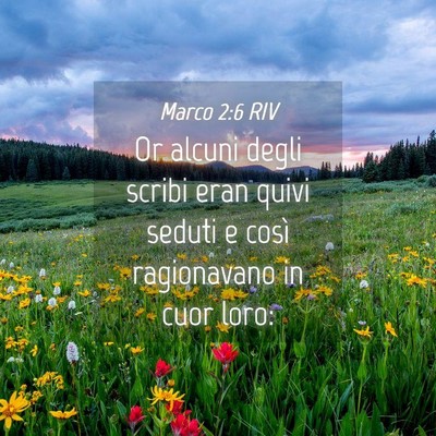 Picture 04 - Marco 2:6 RIV - Or alcuni degli scribi eran quivi seduti e così - Bible Verse Picture