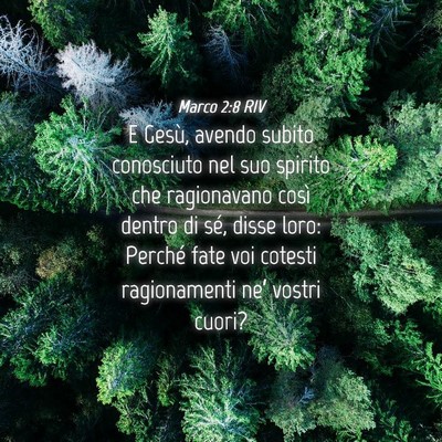 Picture 04 - Marco 2:8 RIV - E Gesù, avendo subito conosciuto nel suo spirito - Bible Verse Picture