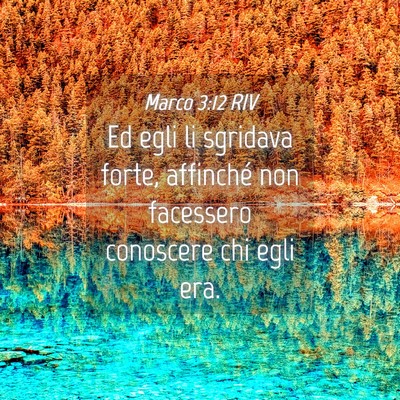 Picture 04 - Marco 3:12 RIV - Ed egli li sgridava forte, affinché non - Bible Verse Picture