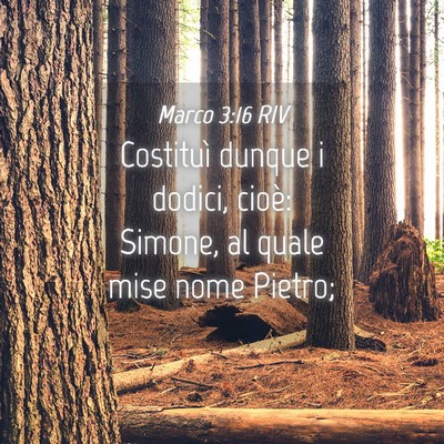 Picture 04 - Marco 3:16 RIV - Costituì dunque i dodici, cioè: Simone, al - Bible Verse Picture