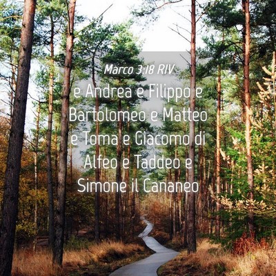 Picture 04 - Marco 3:18 RIV - e Andrea e Filippo e Bartolomeo e Matteo e Toma e - Bible Verse Picture