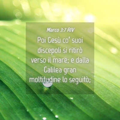 Picture 04 - Marco 3:7 RIV - Poi Gesù co’ suoi discepoli si ritirò verso - Bible Verse Picture