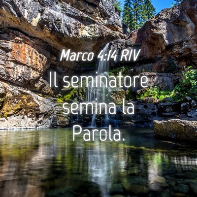 Picture 04 - Marco 4:14 RIV - Il seminatore semina la - Bible Verse Picture