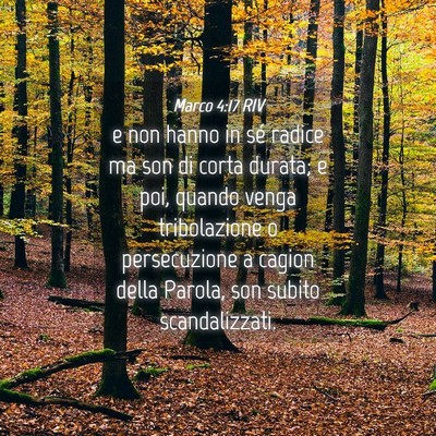 Picture 04 - Marco 4:17 RIV - e non hanno in sé radice ma son di corta durata; - Bible Verse Picture