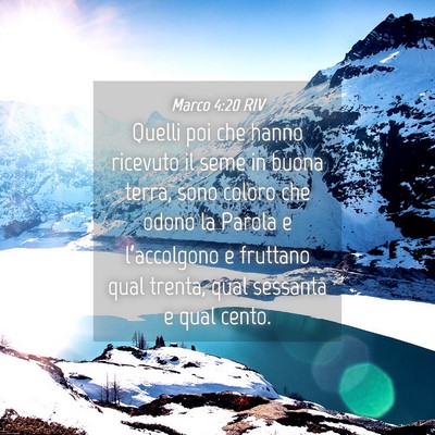 Picture 04 - Marco 4:20 RIV - Quelli poi che hanno ricevuto il seme in buona - Bible Verse Picture