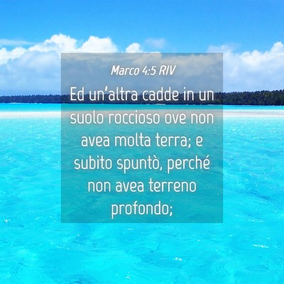 Picture 04 - Marco 4:5 RIV - Ed un’altra cadde in un suolo roccioso ove non - Bible Verse Picture