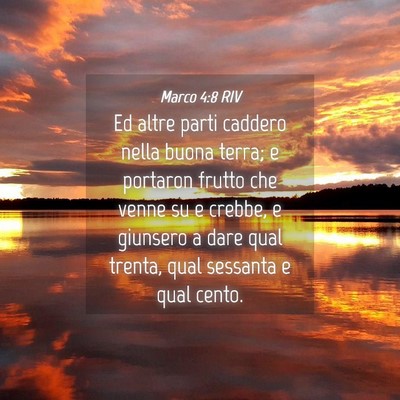 Picture 04 - Marco 4:8 RIV - Ed altre parti caddero nella buona terra; e - Bible Verse Picture