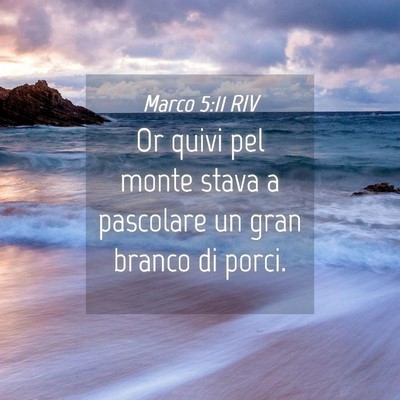 Picture 04 - Marco 5:11 RIV - Or quivi pel monte stava a pascolare un gran - Bible Verse Picture