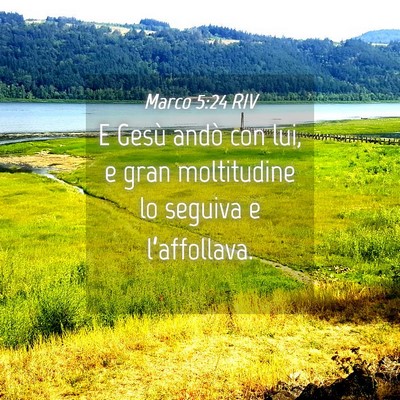 Picture 04 - Marco 5:24 RIV - E Gesù andò con lui, e gran moltitudine lo - Bible Verse Picture