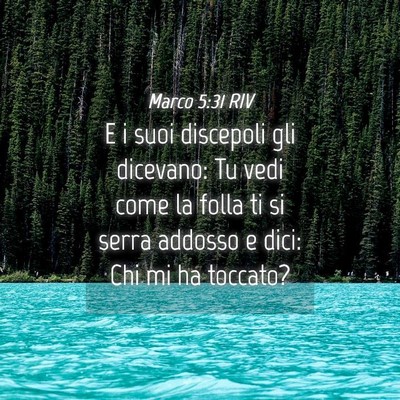 Picture 04 - Marco 5:31 RIV - E i suoi discepoli gli dicevano: Tu vedi come la - Bible Verse Picture
