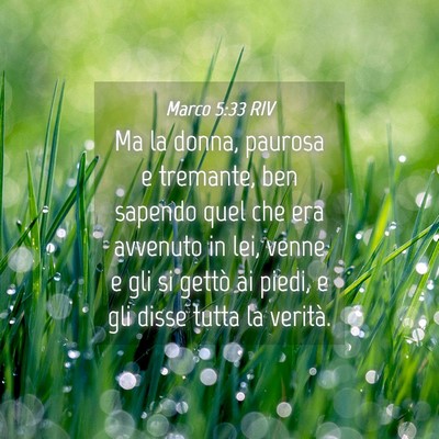 Picture 04 - Marco 5:33 RIV - Ma la donna, paurosa e tremante, ben sapendo quel - Bible Verse Picture