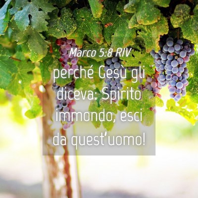 Picture 04 - Marco 5:8 RIV - perché Gesù gli diceva: Spirito immondo, esci - Bible Verse Picture