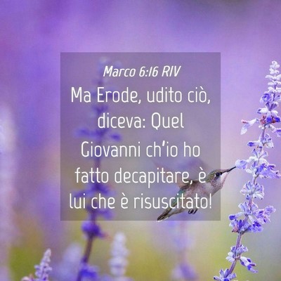 Picture 04 - Marco 6:16 RIV - Ma Erode, udito ciò, diceva: Quel Giovanni - Bible Verse Picture