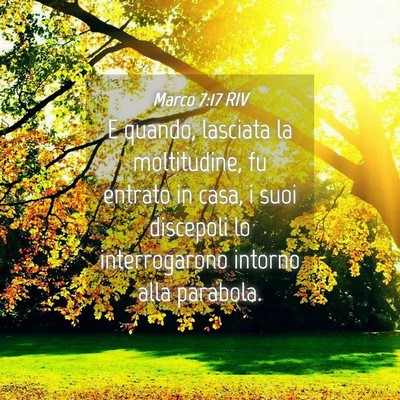 Picture 04 - Marco 7:17 RIV - E quando, lasciata la moltitudine, fu entrato in - Bible Verse Picture