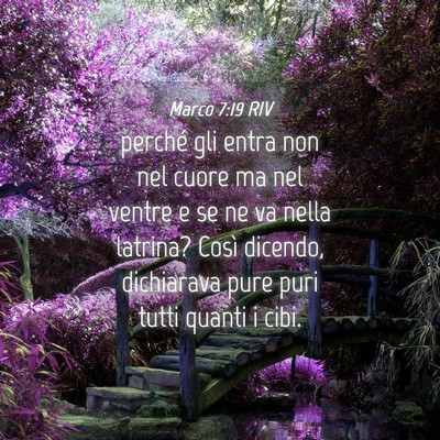 Picture 04 - Marco 7:19 RIV - perché gli entra non nel cuore ma nel ventre e - Bible Verse Picture