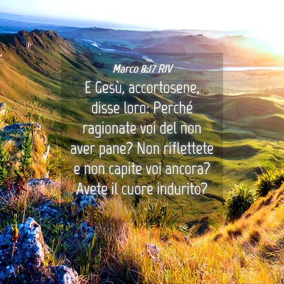 Picture 04 - Marco 8:17 RIV - E Gesù, accortosene, disse loro: Perché - Bible Verse Picture