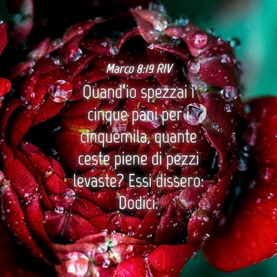 Picture 04 - Marco 8:19 RIV - Quand’io spezzai i cinque pani per i - Bible Verse Picture
