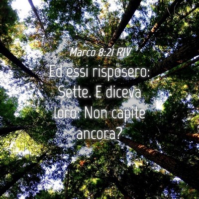 Picture 04 - Marco 8:21 RIV - Ed essi risposero: Sette. E diceva loro: Non - Bible Verse Picture