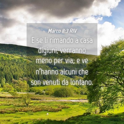 Picture 04 - Marco 8:3 RIV - E se li rimando a casa digiuni, verranno meno per - Bible Verse Picture