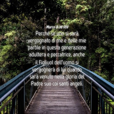 Picture 04 - Marco 8:38 RIV - Perché se uno si sarà vergognato di me e delle - Bible Verse Picture
