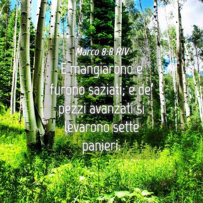 Picture 04 - Marco 8:8 RIV - E mangiarono e furono saziati; e de’ pezzi - Bible Verse Picture